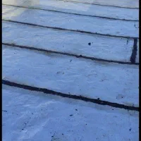 ایزوگام سالاری