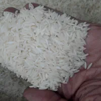 برنج هاشمی گیلان فوق اعلا اصل|خوردنی و آشامیدنی|تهران, میرداماد|دیوار