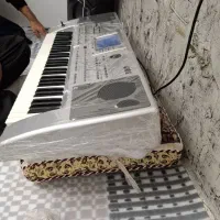 کیبورد|پیانو، کیبورد، آکاردئون|سنندج, |دیوار