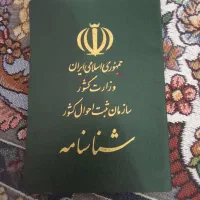 شناسنامه گم شده