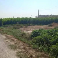 ۵۰۰ متر زمین مناسب باغچه و چاردیواری