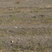 فروش زمین۸۴۶ متری کاهو