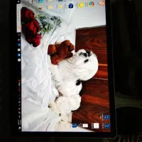 لب تاپ سرفیس مایکروسافت