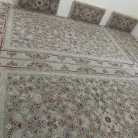 فرش 700شانه تراکن 255|فرش|مهاباد (آذربایجان غربی), |دیوار