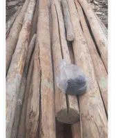 خرید چوب درخت قلمه،ضایعات میوه و چوب دام|خدمات باغبانی و درختکاری|خوی, |دیوار