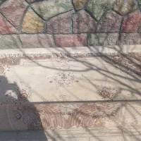 فرش سالم|فرش|پیر بکران, |دیوار