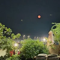 استخدام نگهبان ، سالن کار و آشپز ،  باریستا