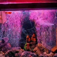 اکواریوم شیشه خم ۸ میل با تمام تجهیزات و پایه