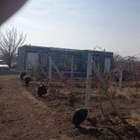 باغ-10200-متر-در-جاده-سنتو-بر-عیسی-لو