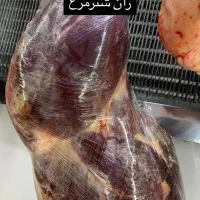 قصابی رضا (به قیمت خرید)