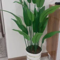 گل مصنوعی|گل مصنوعی|ساوه, |دیوار