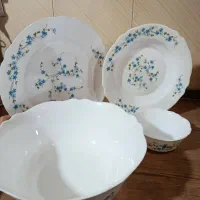 بشقاب گل ویکتریا‌