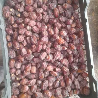 خرما مرداسنگ فله