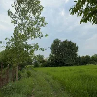 زمین۱۰۵۵متری بابنای نیمه کاره سنددار درگوکه|فروش زمین و ملک کلنگی|لاهیجان, لیل|دیوار
