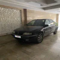 زانتیا ۸۳