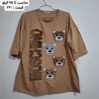 هودی و تیشرت، مانتو