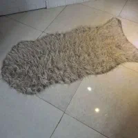 پادری خز و پادری گلدار|پادری|پاکدشت, پاکدشت (مامازند)|دیوار