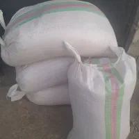 آکوته امساله