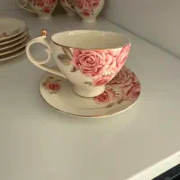 فنجون نعلبکی لمونژ کاملا نو و سالم|ظروف سرو و پذیرایی|تهران, نارمک|دیوار