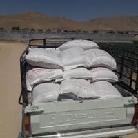 وانت کرایه