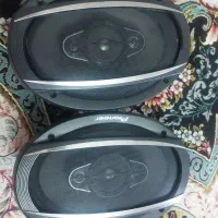 اسپیکر  باند پایونر