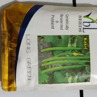 بذر خیار چنبر