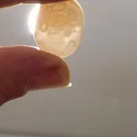 سکه و مهره|کلکسیون سکه، تمبر، اسکناس|نهاوند, |دیوار