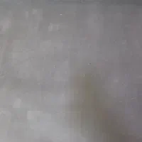 موکت طوسی در حدنو ۴روز استفاده شده|موکت|قدس, شهرقدس|دیوار