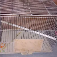 ۳عدد قفس پرنده|لوازم جانبی حیوانات|کرمانشاه, |دیوار