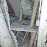 اسکرچر گربه