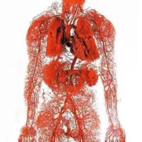 مشاوره رایگان|فعالیت داوطلبانه|یزد, |دیوار