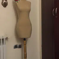 مانکن سوزن خور‌ نو