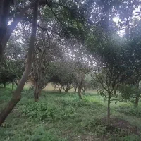 فروش-زمین-1500-متری