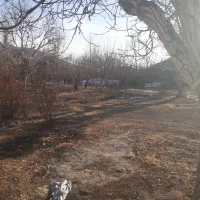 ساختمان ویلایی .شهیدمحمودی