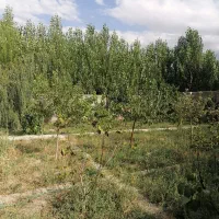 مشارکت در ساخت ویلا|مشارکت در ساخت املاک|بستان آباد, |دیوار