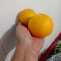 پرتقال نارنگی|خوردنی و آشامیدنی|عباس‌آباد, |دیوار