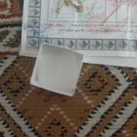 زنجیر طلا