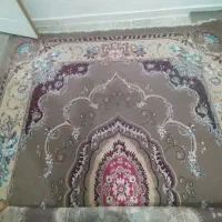 شهر حر