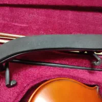 ویالون / ویولن|ویولن|ساری, |دیوار