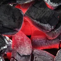 ذغال|کوهنوردی و کمپینگ|هشتگرد, شهرک وحدت|دیوار