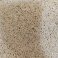 برنج دوباره کشت