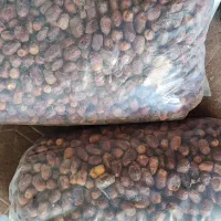 قصب|خوردنی و آشامیدنی|برازجان, |دیوار