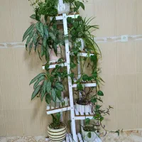 استند وگل طبیعی