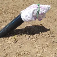 زمین باغی در روستای میقان(زمین بخر پول موکت بده)