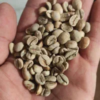 فروشگاه قهوه مارزاکو مرودشت|عمدهفروشی|مرودشت, ابوذر جنوبی|دیوار