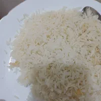 برنج طارم فجر|خوردنی و آشامیدنی|گلپایگان, |دیوار