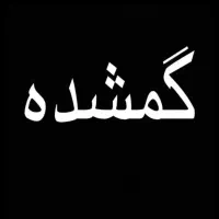 یک کیف دوشی زنانه گمشده