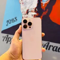 16 pro max 256 batri100