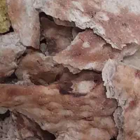 نان خشک تمیز تمیز بدون کپک زدگی