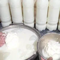 دوغ و کره محلی|خوردنی و آشامیدنی|زرگرشهر, |دیوار